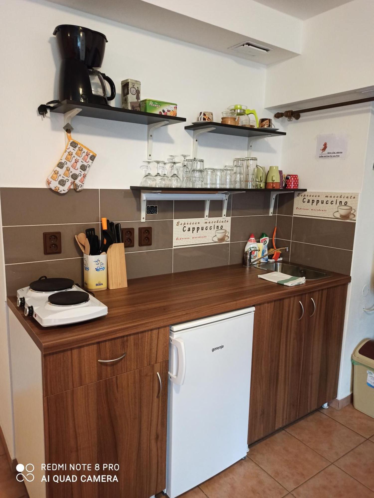 Apartman U Kocky 블란스코 객실 사진
